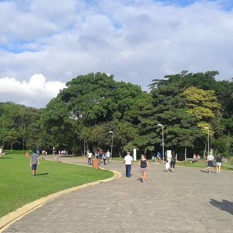 Desentupidora na Vila Leopoldina  - Desentupidora Farol